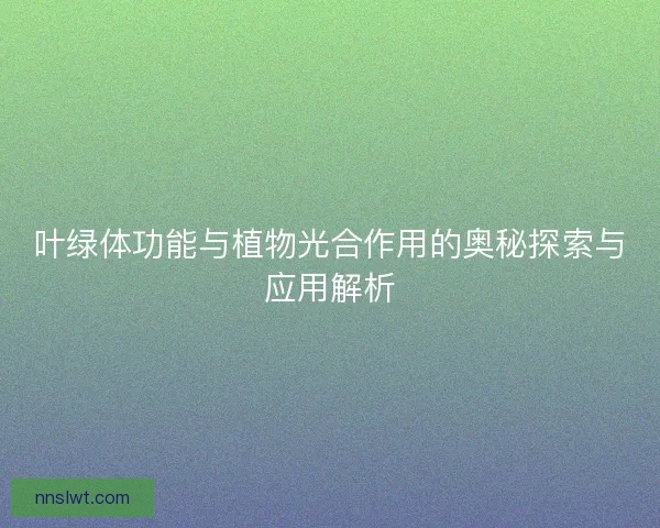 叶绿体功能与植物光合作用的奥秘探索与应用解析