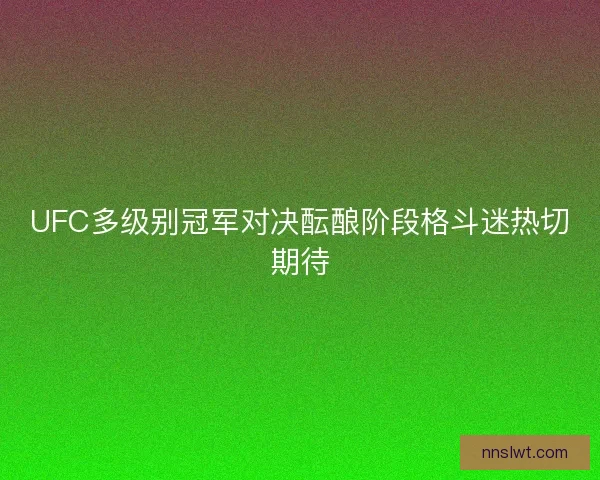 UFC多级别冠军对决酝酿阶段格斗迷热切期待