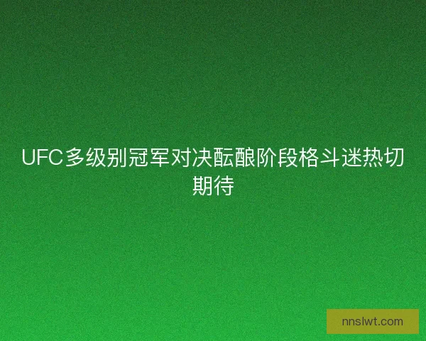 UFC多级别冠军对决酝酿阶段格斗迷热切期待